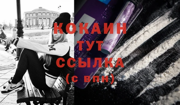 молекула духа Дмитриев