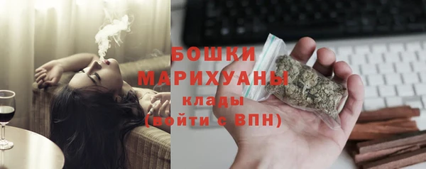 сатива Дмитров