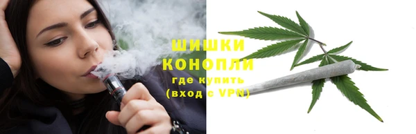 сатива Дмитров