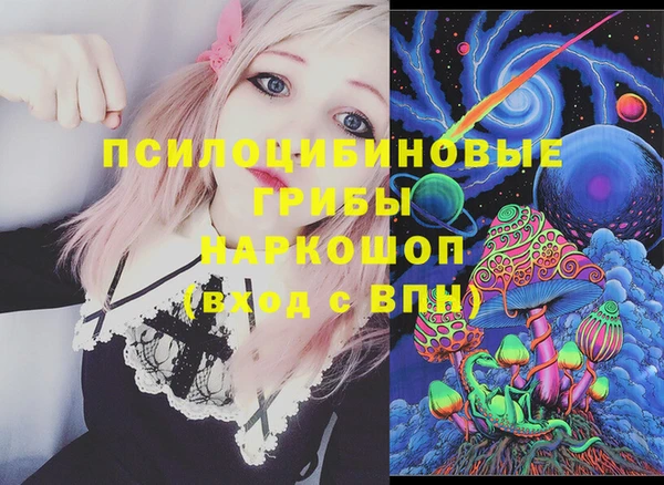 сатива Дмитров