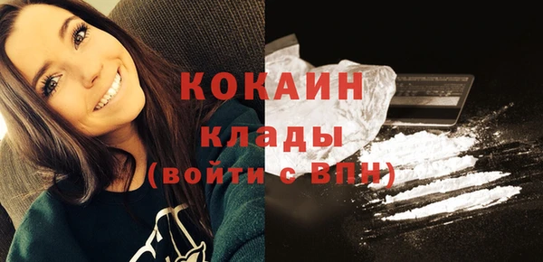 молекула духа Дмитриев